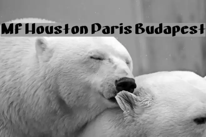 Mf Houston Paris Budapest Font examples