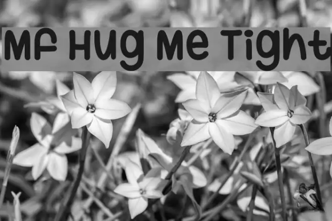 Mf Hug Me Tight Example 2