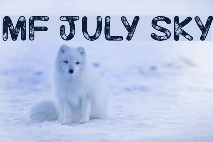 Mf July Sky Font examples