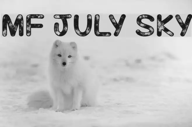 Mf July Sky Example 1