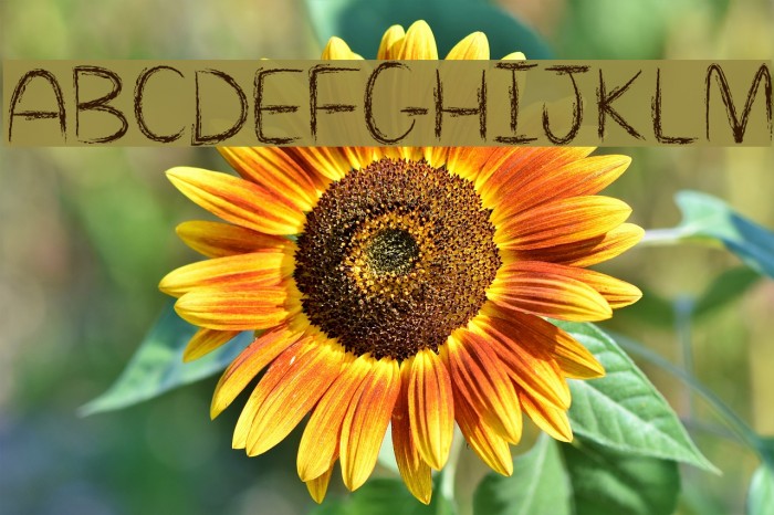 Mf Killing Loneliness Example 3