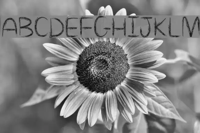 Mf Killing Loneliness Font examples