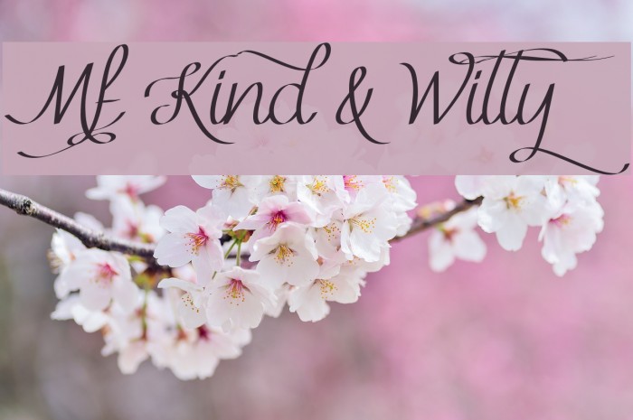 Mf Kind & Witty Font examples