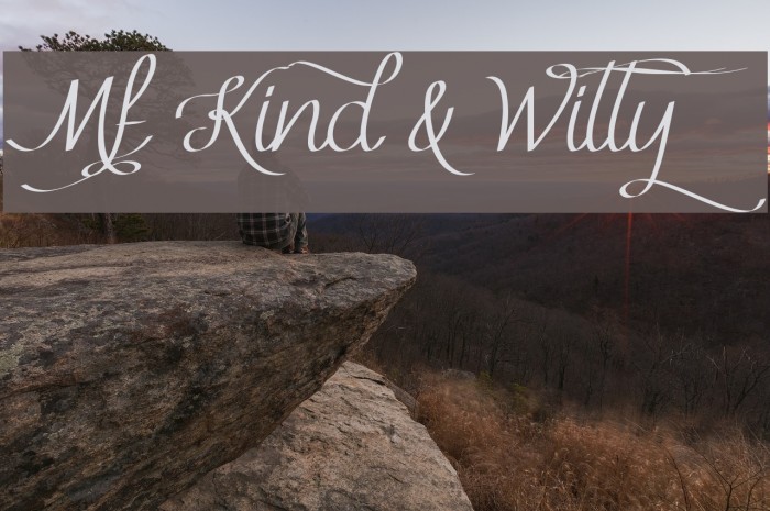 Mf Kind & Witty Font examples