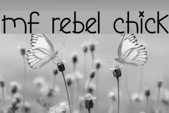 Mf Rebel Chick Font examples