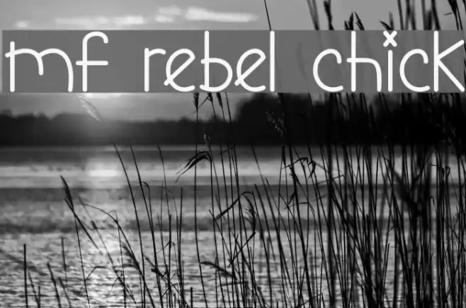 Mf Rebel Chick Font examples