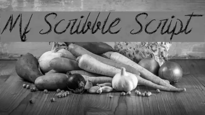 Mf Scribble Script Font examples