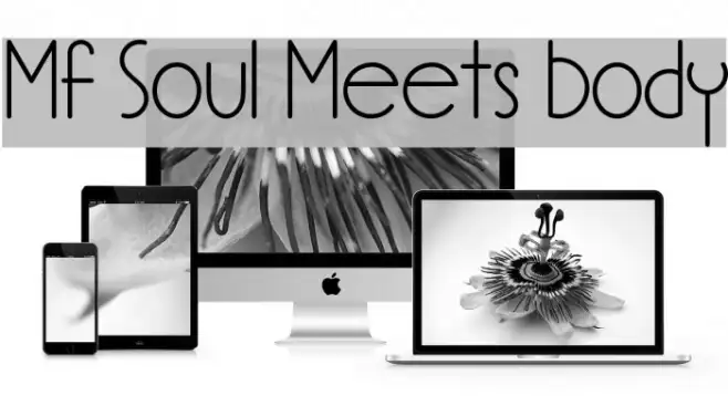Mf Soul Meets Body Example 3