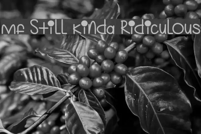 Mf Still Kinda Ridiculous Font examples