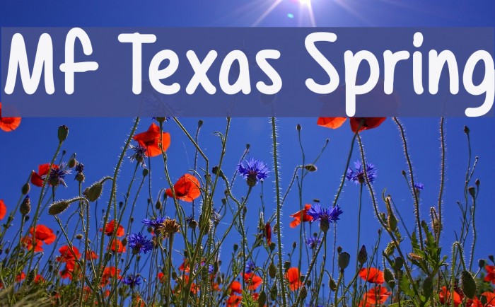 Mf Texas Spring Font examples
