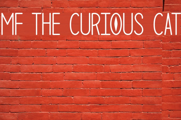 Mf The Curious Cat Example 1