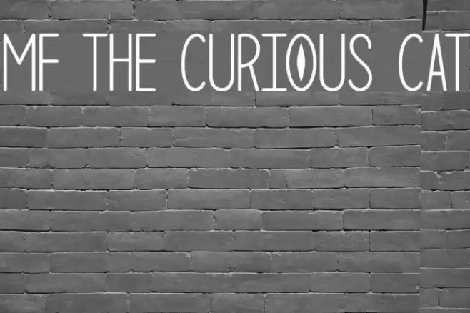 Mf The Curious Cat Font examples