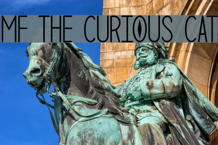 Mf The Curious Cat Example 3