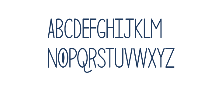 Mf The Curious Cat Lowercase