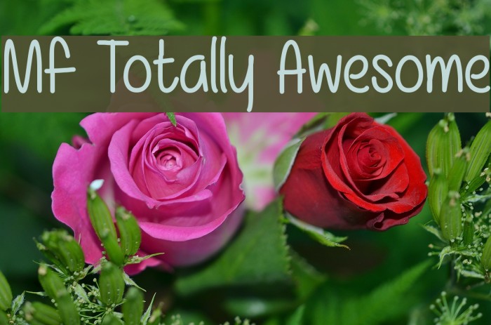 Mf Totally Awesome Font examples