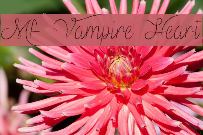 Mf Vampire Heart Font examples