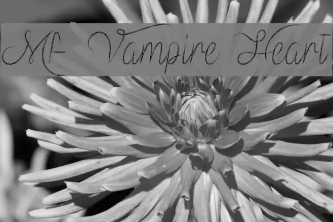 Mf Vampire Heart Example 2