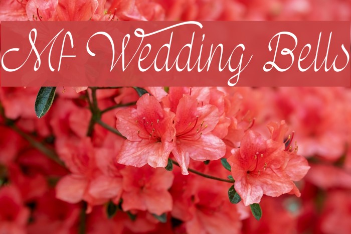 Mf Wedding Bells Font examples
