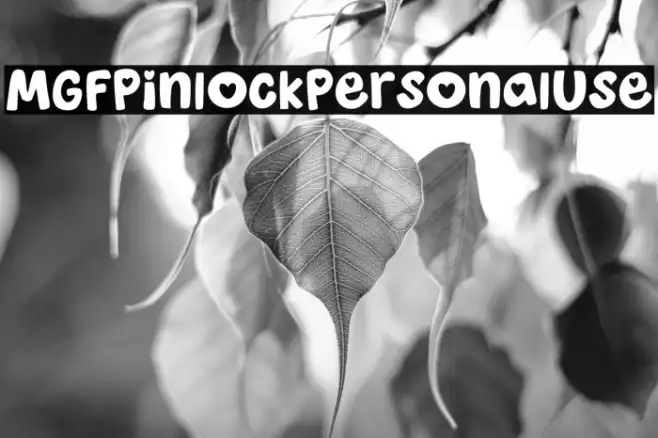 MGF Pinlock Personal Use Example 3