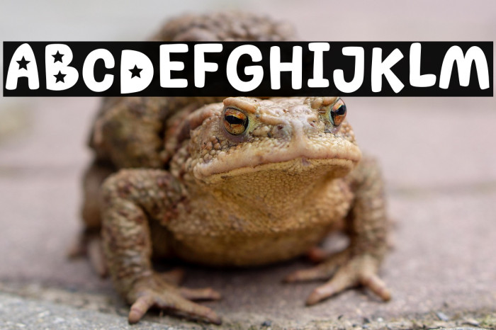 MGF Popstar Personal Use Example 2