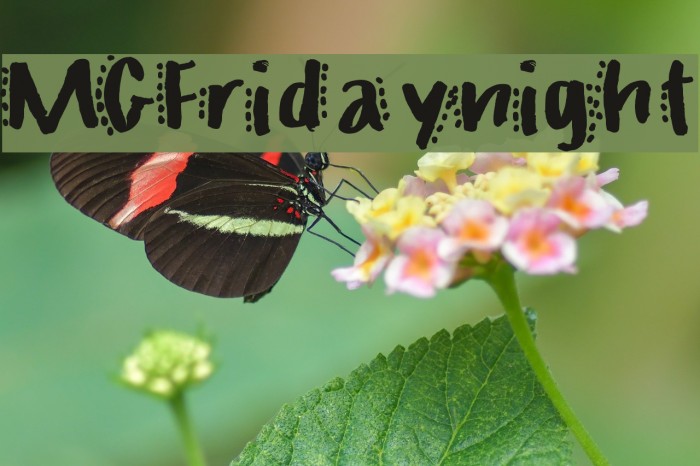 MGFridaynight Example 3