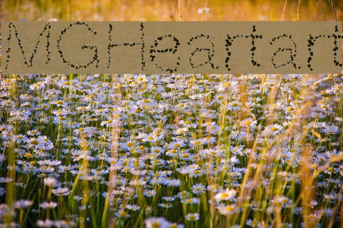 MGHeartart Example 2