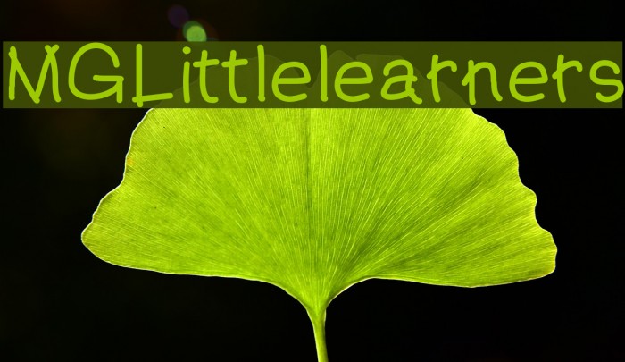 MGLittlelearners Font examples