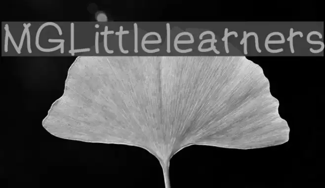 MGLittlelearners Example 2