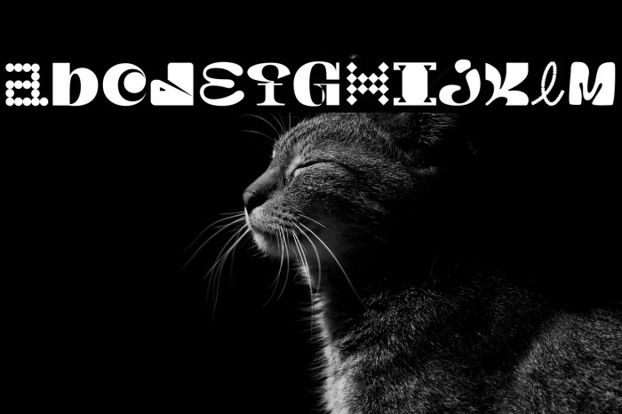 MGN Kinetic Display 2 Example 2