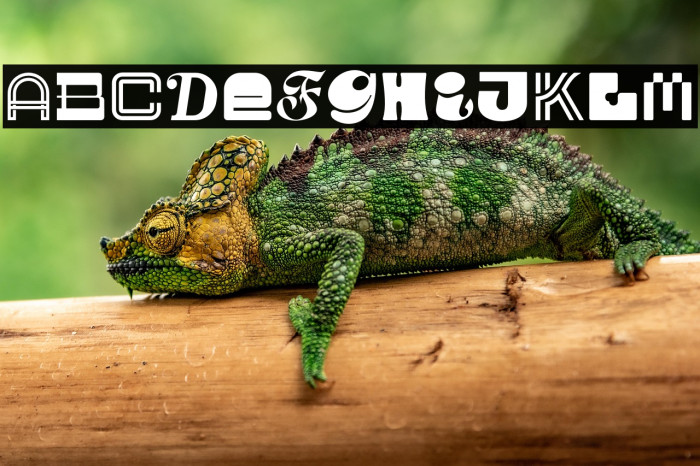 MGN Kinetic Display 3 Example 1