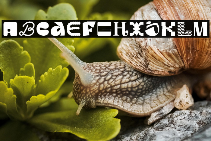 MGN Kinetic Display 5 Example 1