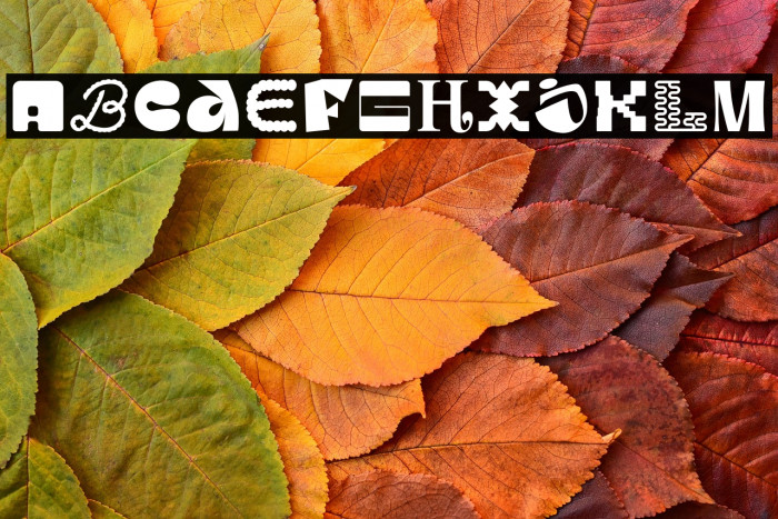 MGN Kinetic Display 5 Example 2