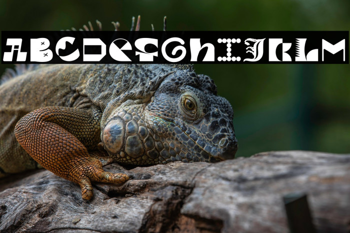 MGN Kinetic Display 6 Example 3