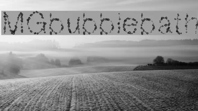MGbubblebath Example 1