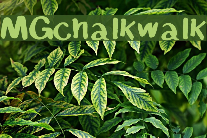 MGchalkwalk Font examples