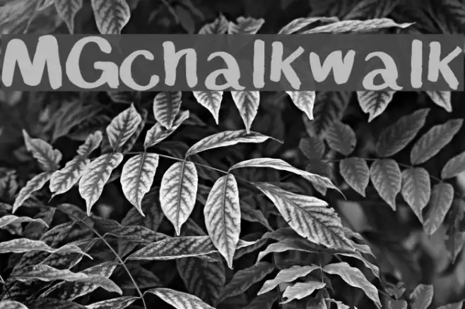 MGchalkwalk Example 2