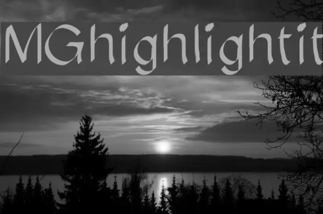 MGhighlightit Example 1