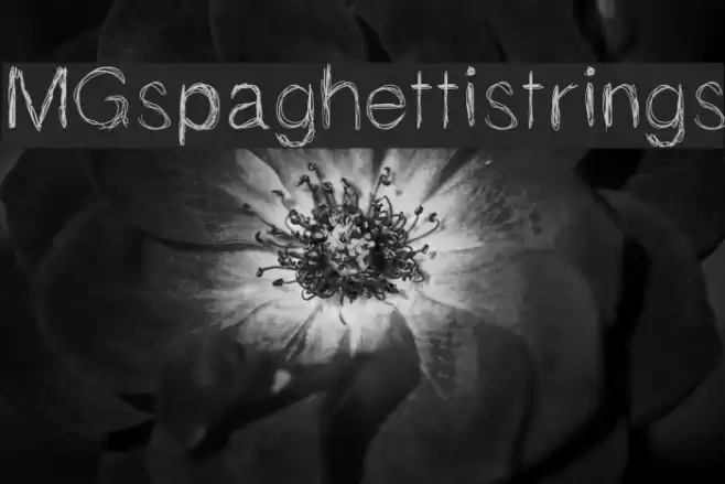 MGspaghettistrings Font examples