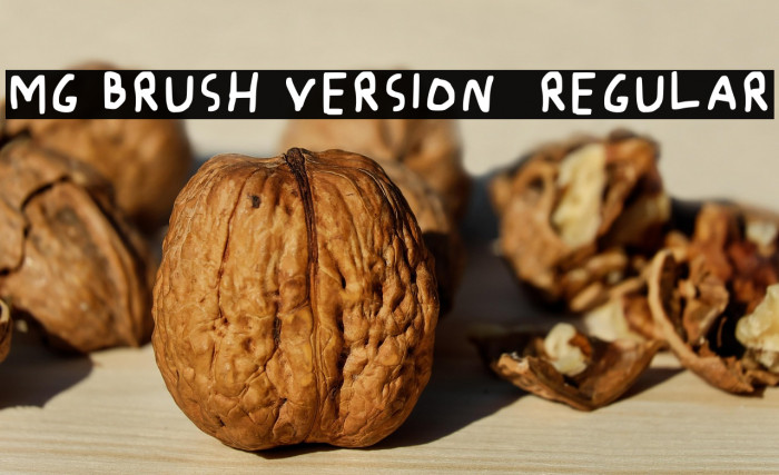 Mg Brush Version 2 Regular Example 2