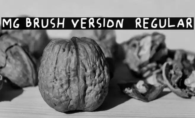 Mg Brush Version 2 Regular Caratteri examples