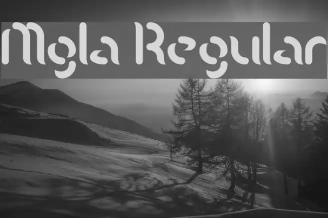 Mgla Regular Example 1