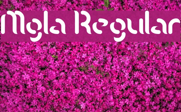 Mgla Regular Font examples