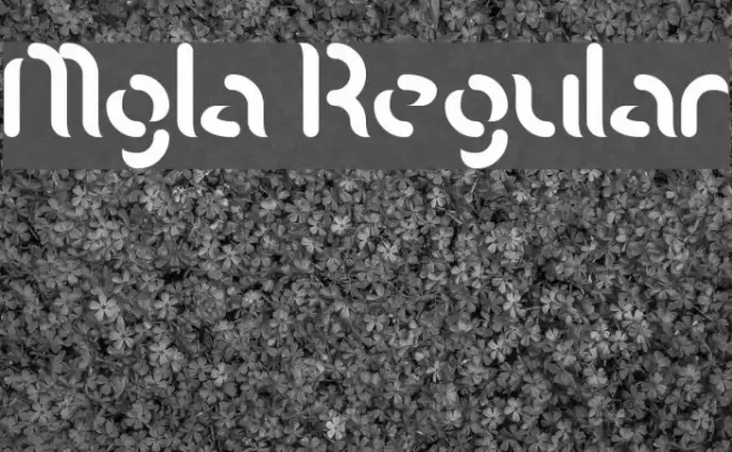 Mgla Regular Example 3