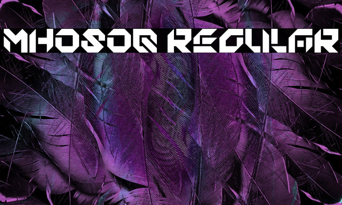 MHOSOQ Regular Example 2