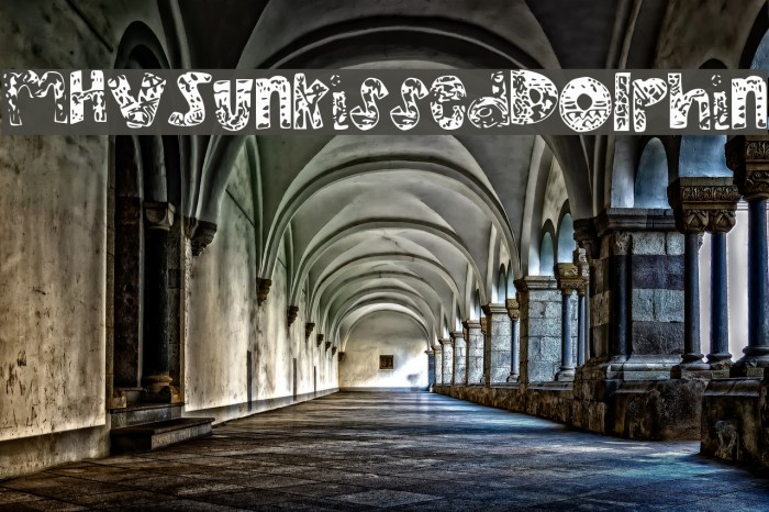 MHVSunkissedDolphin Example 1