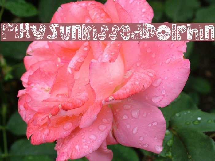 MHVSunkissedDolphin Example 3