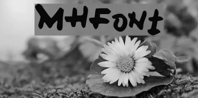 MH_Font Example 2