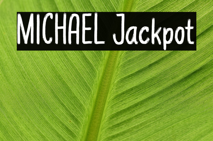MICHAEL Jackpot Example 1