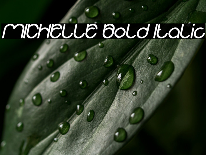 MICHELLE Bold Italic Example 2