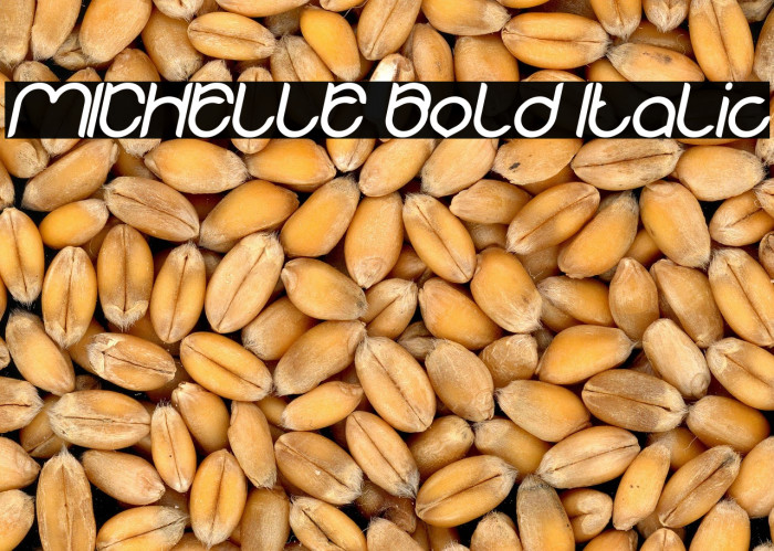 MICHELLE Bold Italic Example 3